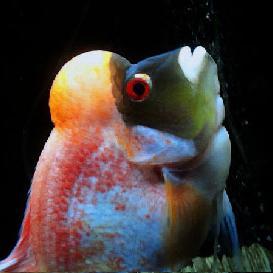 hurawada's profile picture. 白い鷲から生まれました。
19歳で岡本太郎に感銘を受けた。
日ハムファンの阪神ファン。
日頃の悩みは初対面で怖い人と思われる事。
熱帯魚を愛し、漫画やアニメも話せる
のほほん系で売っているのに・・・