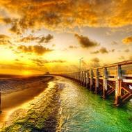 pasdequoi9981's profile picture. 