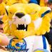 ZAC (@wildcatzac) Twitter profile photo ZAC (@wildcatzac) Twitter profile photo