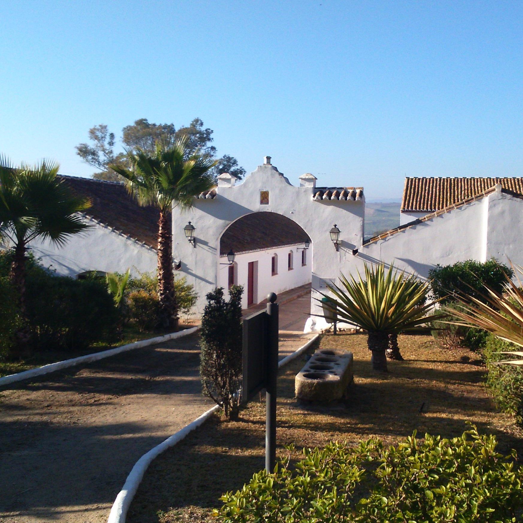 MuseoPizarra's profile picture. 