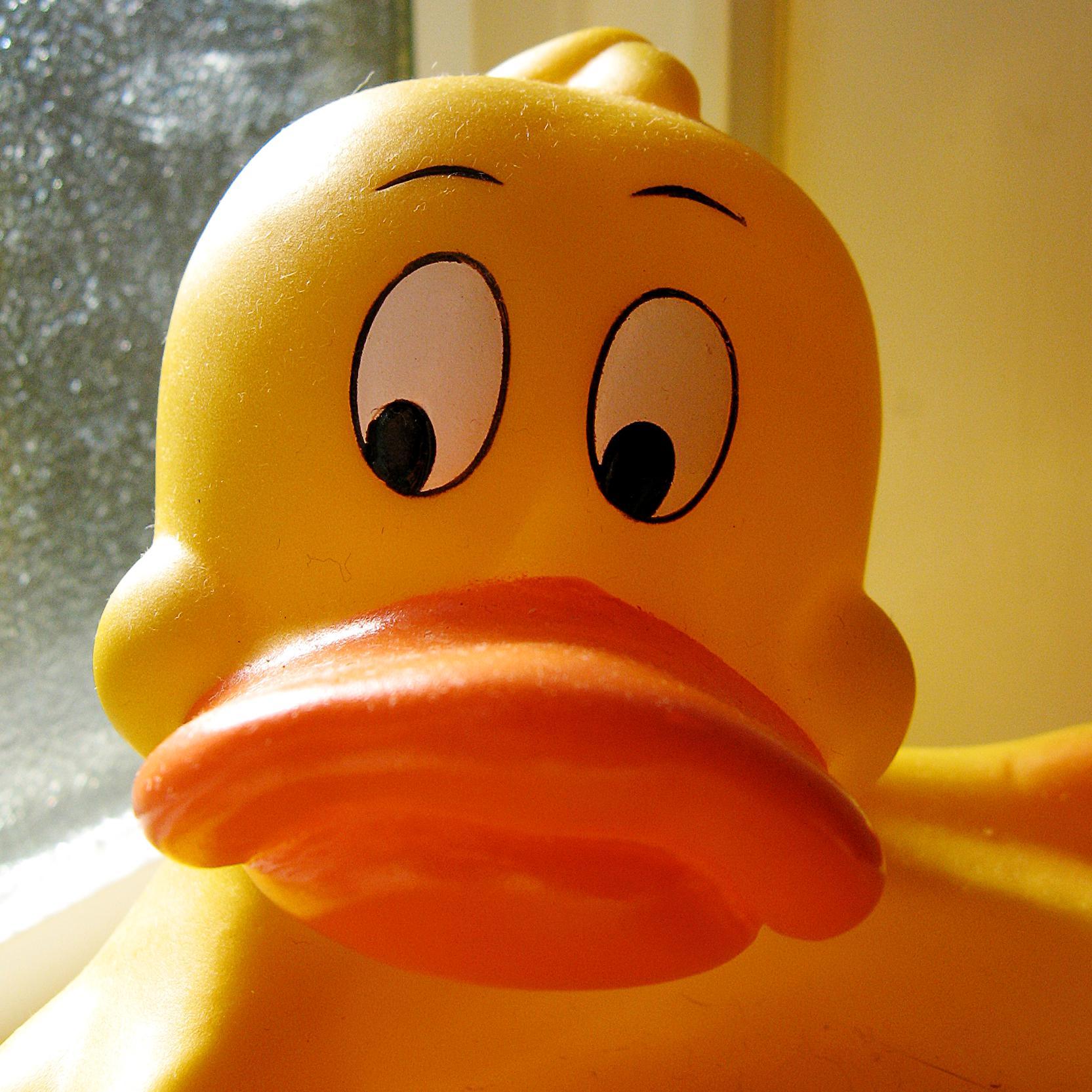 Gag Duck - Your good mood