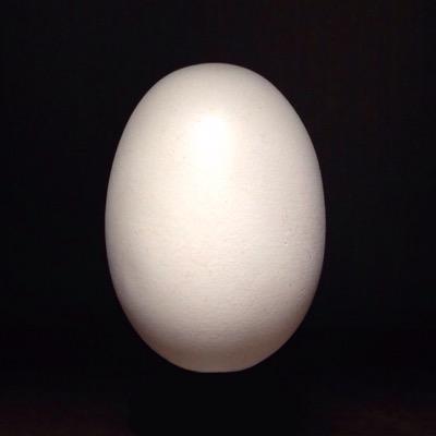 アングラ同好会さんのプロフィール画像