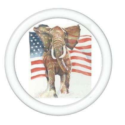 ArmyOfElephants's profile picture. Opportunity, Liberty, Responsibility & Security
