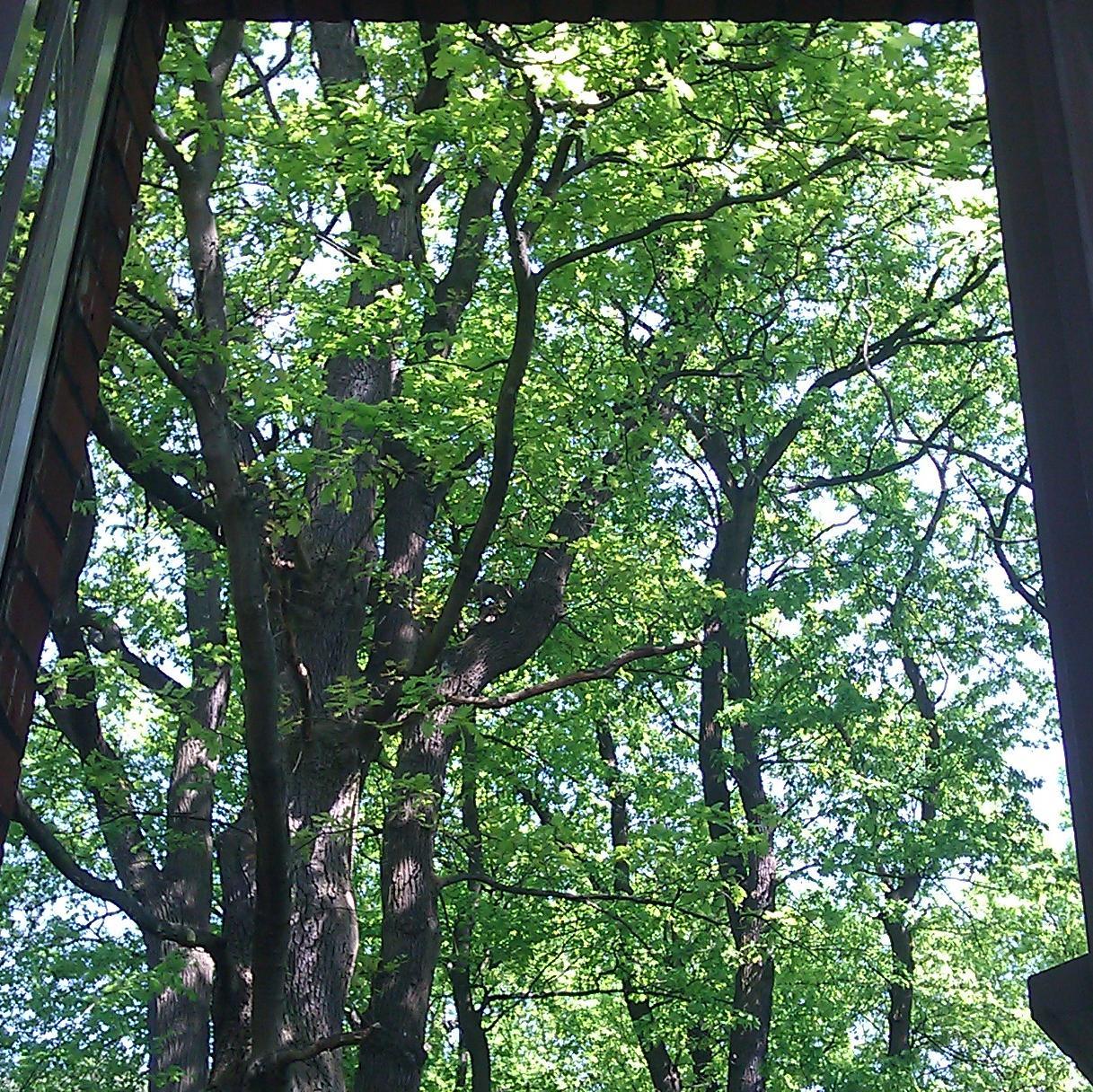 stalkerinc's profile picture. 