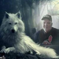 William Tinker (@alldogs7777) 's Twitter Profile