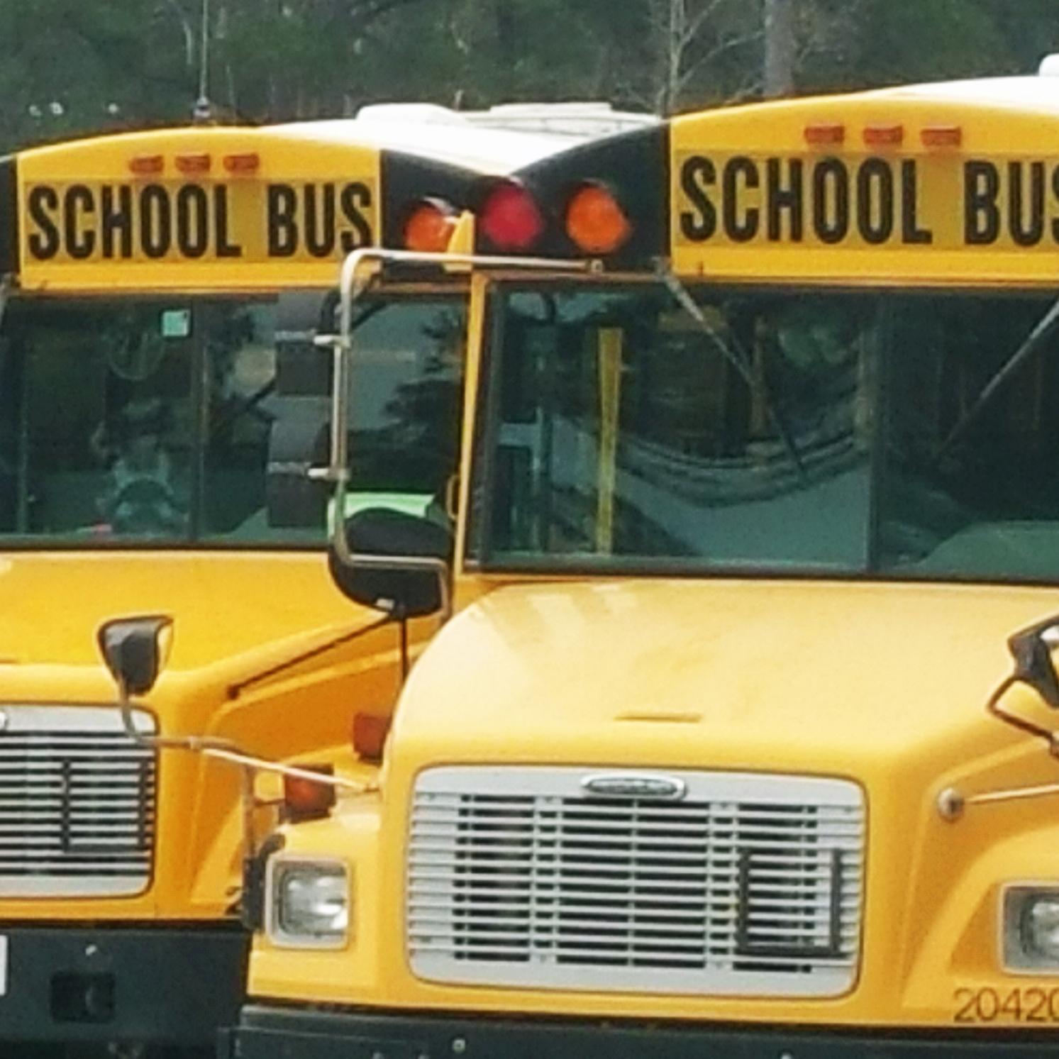 TISD Transportation Profile