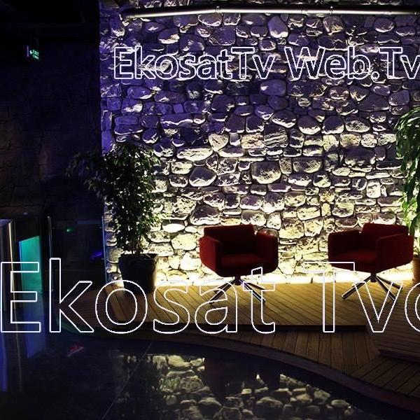 ekosattvcom's profile picture. 