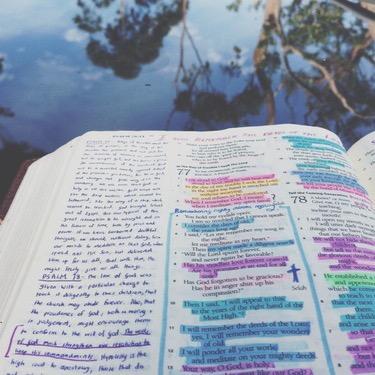 The Bible Verses
