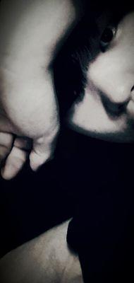 MYam_Elvis's profile picture. Elvis ?  please follow me!!~  ^-^