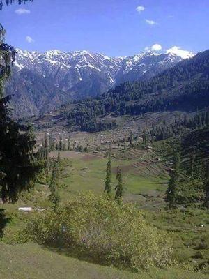 MMasoood's profile picture. 