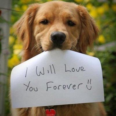 prostatevo's profile picture. ΠΡΟ.ΣΤ.Α.ΤΕ.Υ.Ω.
ΑΣΤΙΚΗ ΜΗ ΚΕΡΔΟΣΚΟΠΙΚΗ ΕΤΑΙΡΕΙΑ

http://t.co/Of7YbOg8
http://t.co/UMZm4c2P
http://t.co/51uxwJz8