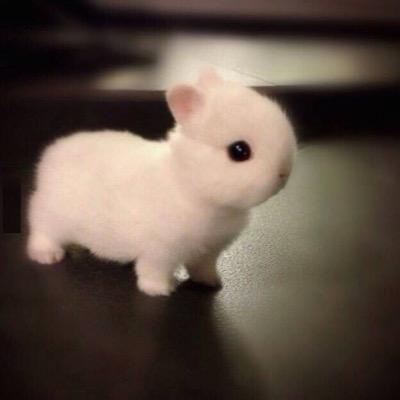 Vine: Lou lou 
Just another awkward person in a messed up universe