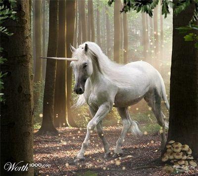 UnicornSchipper's profile picture. Funny, positive unicorn from Russia :D