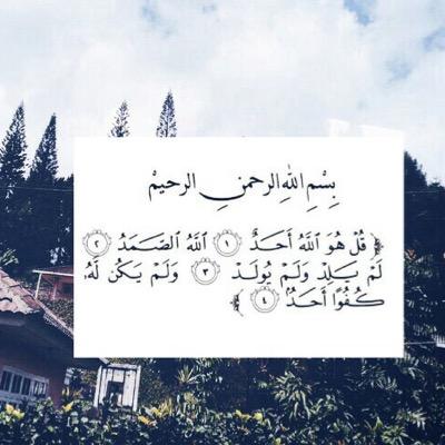 سُبل الحب كثيره وأبسطها الدعاء ، ولأني أحببتك جعلت هذا الحساب صدقة جاريه لك في حياتك وبعد موتك ،وادعو الله ان يجعله شاهداً لك وان يحفظك لي