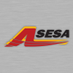 AsesaMx (@asesamx) Twitter profile photo AsesaMx (@asesamx) Twitter profile photo