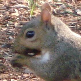 SageOllc's profile picture. Lots of things to experience as this sensitive introvert searches for meaning in life and work.