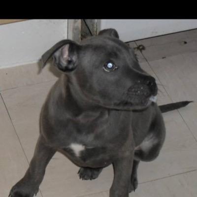 callum_timmins's profile picture. 1️⃣8️⃣👌 Snapchat- Callumtimmins10 Instagram- Callumtimmins_14