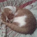 Elle Knowles - @whiskers453 - Twitter