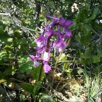 gün ışığı (@gn50) Twitter profile photo