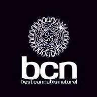 Bcnseeds Profile Picture
