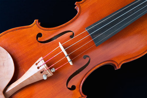 aulasdeviolino's profile picture. Aulas de violino no Rio de Janeiro, para pessoas de todas as idades
