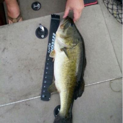 Florida BASS Nation bass fishing club.