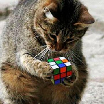 IMakeItLookGood's profile picture. Certified EWP (Engineer With Personality)! #TheGirlyEngineer