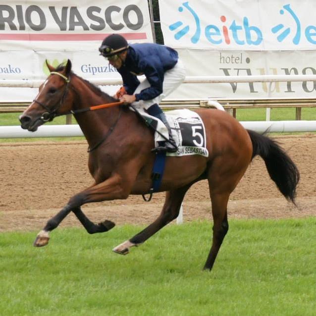 Entrenador de caballos de carreras sevillano, bético y trianero