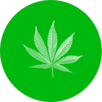 WikiWeedApp (@wikiweed_app) 's Twitter Profile