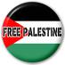 Eyes on Palestine (@richardlavalle5) Twitter profile photo