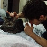 Alberto Vitale (@albertovitale) 's Twitter Profile Photo