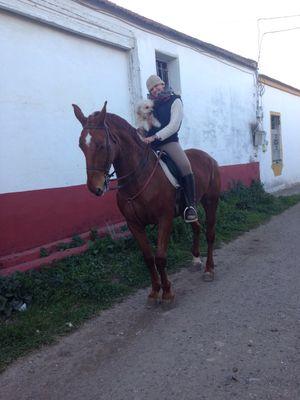 En mi silla de amazona de Villamanrique al Rocio
Solo entiende mi locura quien comparte mi afición
Rociera por herencia.
