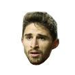 Liverpool fan. Borini enthusiast