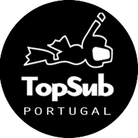 TopSub Diving School(@TopSub) 's Twitter Profileg