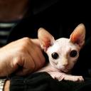 Lea - @lea_cooper1 - Twitter