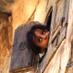 سارا# (@isa111427) Twitter profile photo