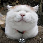 お笑い動画チャンネル (@owaraidougach) 's Twitter Profile Photo