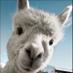 Claudia Brockway (@brockwaydiaz) Twitter profile photo Claudia Brockway (@brockwaydiaz) Twitter profile photo