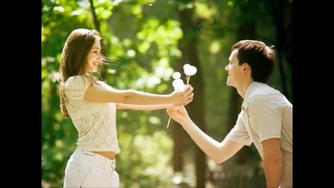 wafaa2011facebo's profile picture. 