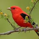 anwar azmi - @anwarsazmi - Twitter