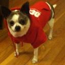 Karen Grillo - @karen_mrsgrill - Twitter