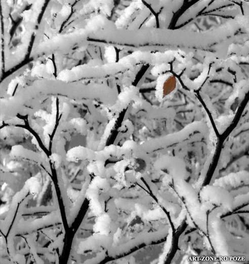 vasy62's profile picture. 