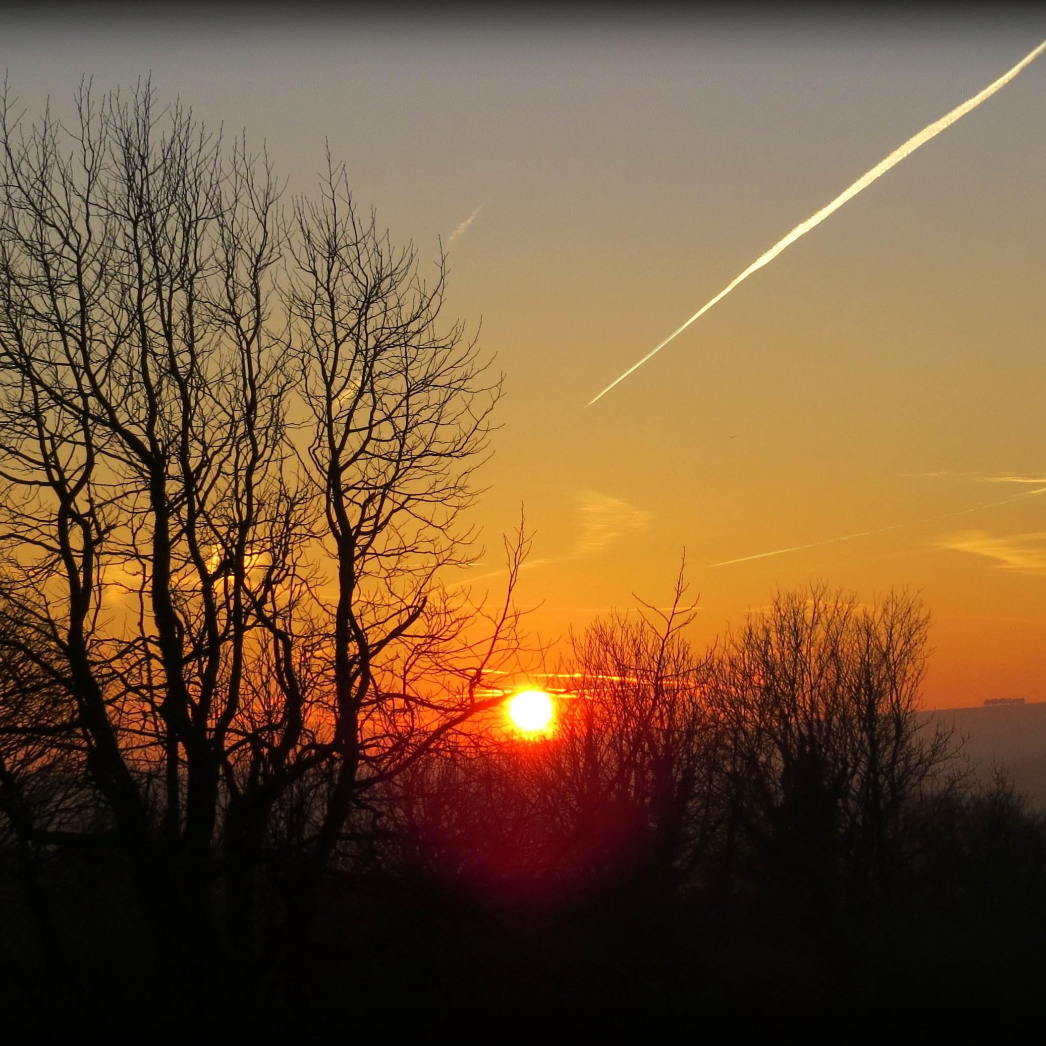 bromeigan's profile picture. 