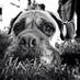 John Allen (@johnallenimages) Twitter profile photo