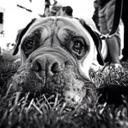 John Allen - @johnallenimages - Twitter