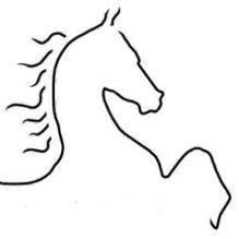 MillagainStable's profile picture. Introduce people to the beautiful breed of the American Saddlebred and make them a part of their lives.