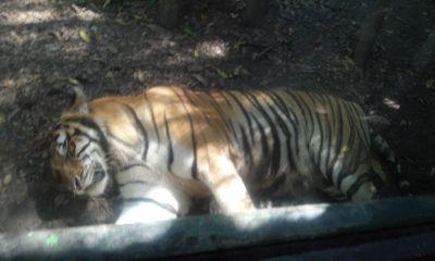 lonchoxs's profile picture. nací en Tabasco y vivo en Villahermosa