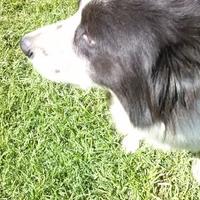 pat bgg 💛 (@patbgg) 's Twitter Profile