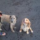 malcolm stone - @mally123 - Twitter