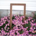 Pat Mclean - @fpmclean - Twitter